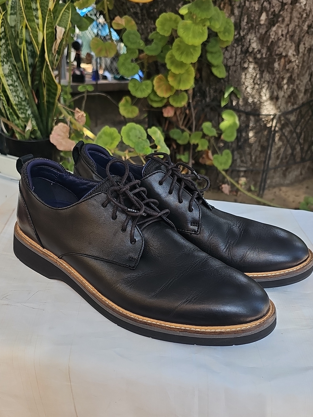 Cole Haan Black Leather Derby Shoes with Tan Contrast Welt Osborn Plain Toe